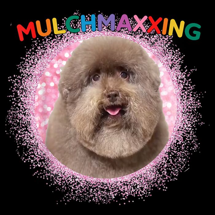 Mulch Gang 4 Life Mulchmaxxing Puppy Dog Meme For Dog Lovers Sustainable Bucket Hat