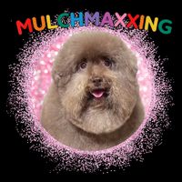 Mulch Gang 4 Life Mulchmaxxing Puppy Dog Meme For Dog Lovers 7-Panel Snapback Hat