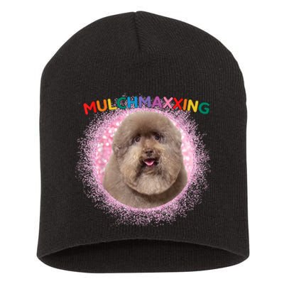 Mulch Gang 4 Life Mulchmaxxing Puppy Dog Meme For Dog Lovers Short Acrylic Beanie