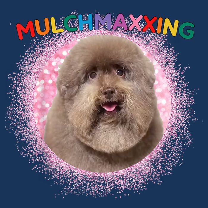 Mulch Gang 4 Life Mulchmaxxing Puppy Dog Meme For Dog Lovers Infant Baby Jersey Bodysuit