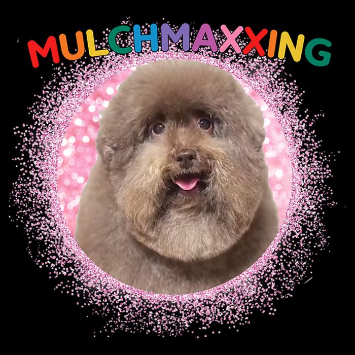 Mulch Gang 4 Life Mulchmaxxing Puppy Dog Meme For Dog Lovers Cooling Performance Crew T-Shirt