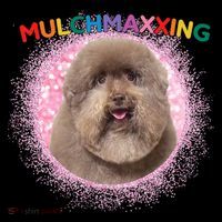 Mulch Gang 4 Life Mulchmaxxing Puppy Dog Meme For Dog Lovers Tall T-Shirt