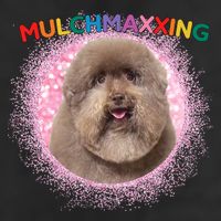 Mulch Gang 4 Life Mulchmaxxing Puppy Dog Meme For Dog Lovers Beanie
