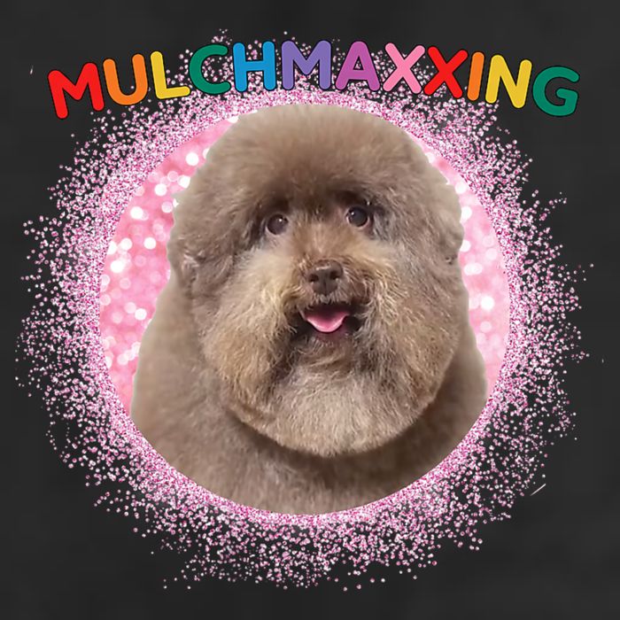 Mulch Gang 4 Life Mulchmaxxing Puppy Dog Meme For Dog Lovers Beanie