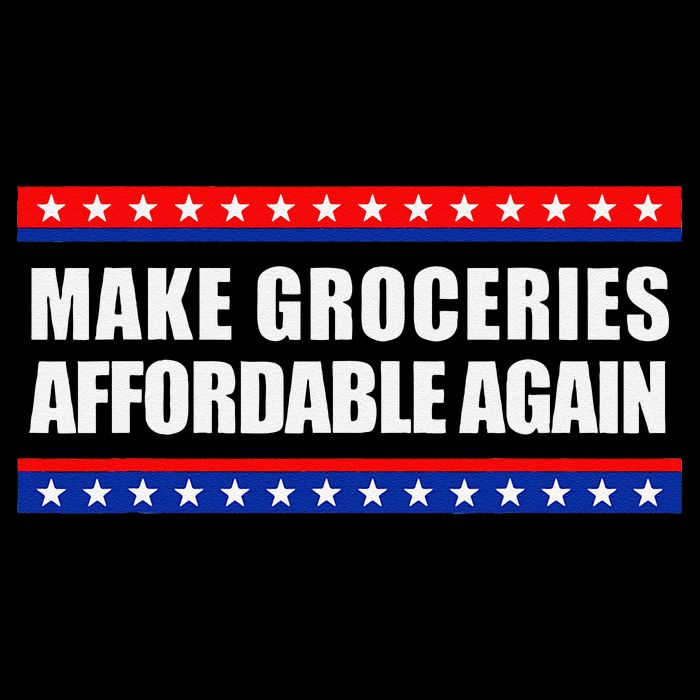 Make Groceries Affordable Again Antibiden Gift Impact Tech Backpack