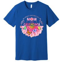 My Greatest Blessings Call Me Mom And Grandma Gift Premium T-Shirt