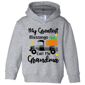 My Greatest Blessings Call Me Grandma Matching Family Pajama Gift Toddler Hoodie