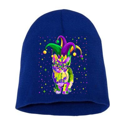 Mardi Gras Cat Mask Funny Carnival Parade Party Cat Lovers Gift Short Acrylic Beanie