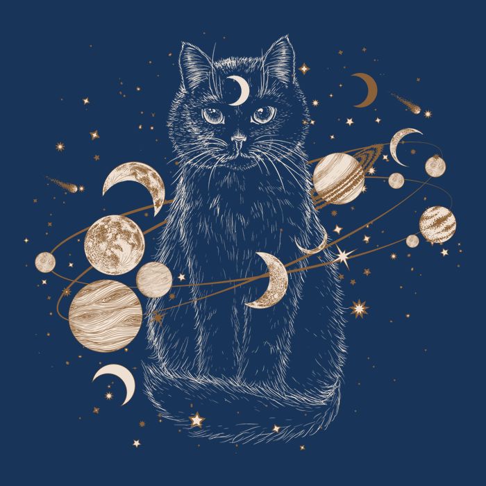 Magical Galaxy Cat Tall T-Shirt