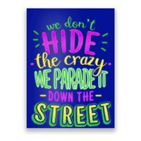 Mardi Gras Funny Gift We Dont Hide The Crazy We Parade Poster