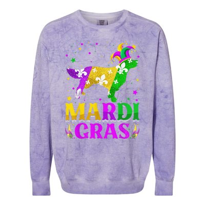 Mardi Gras Golden Retriever Dog Lover Carnival Jester Colorblast Crewneck Sweatshirt