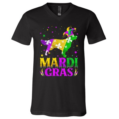 Mardi Gras Golden Retriever Dog Lover Carnival Jester V-Neck T-Shirt