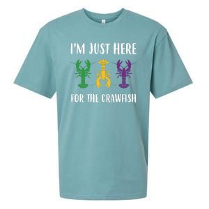 Mardi Gras Im Just Here For The Crawfish Sueded Cloud Jersey T-Shirt