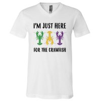 Mardi Gras Im Just Here For The Crawfish V-Neck T-Shirt