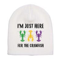 Mardi Gras Im Just Here For The Crawfish Short Acrylic Beanie