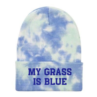 My Grass Is Blue Tie Dye 12in Knit Beanie