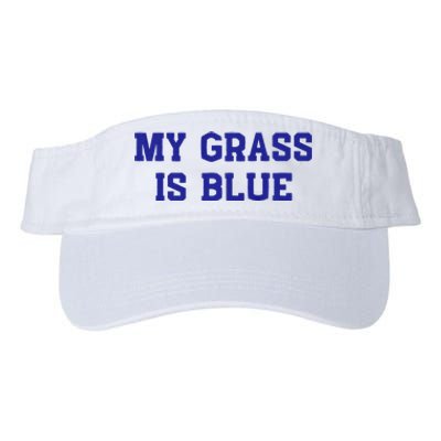 My Grass Is Blue Valucap Bio-Washed Visor