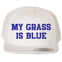 My Grass Is Blue Wool Snapback Cap