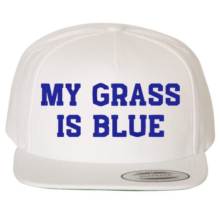 My Grass Is Blue Wool Snapback Cap