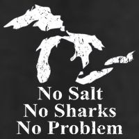 Michigan Great Lakes No Salt, No Sharks, No Problem Hoodie 7 Panel Mesh Trucker Snapback Hat