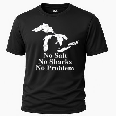 Michigan Great Lakes No Salt, No Sharks, No Problem Hoodie Performance Shirt