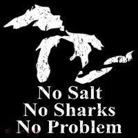 Michigan Great Lakes No Salt, No Sharks, No Problem Hoodie Impact Tech Backpack