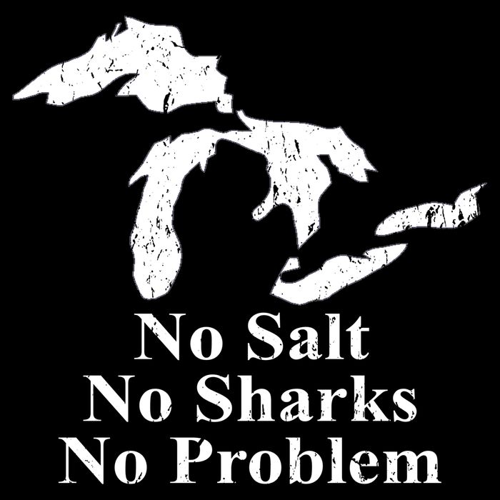Michigan Great Lakes No Salt, No Sharks, No Problem Hoodie Backpack