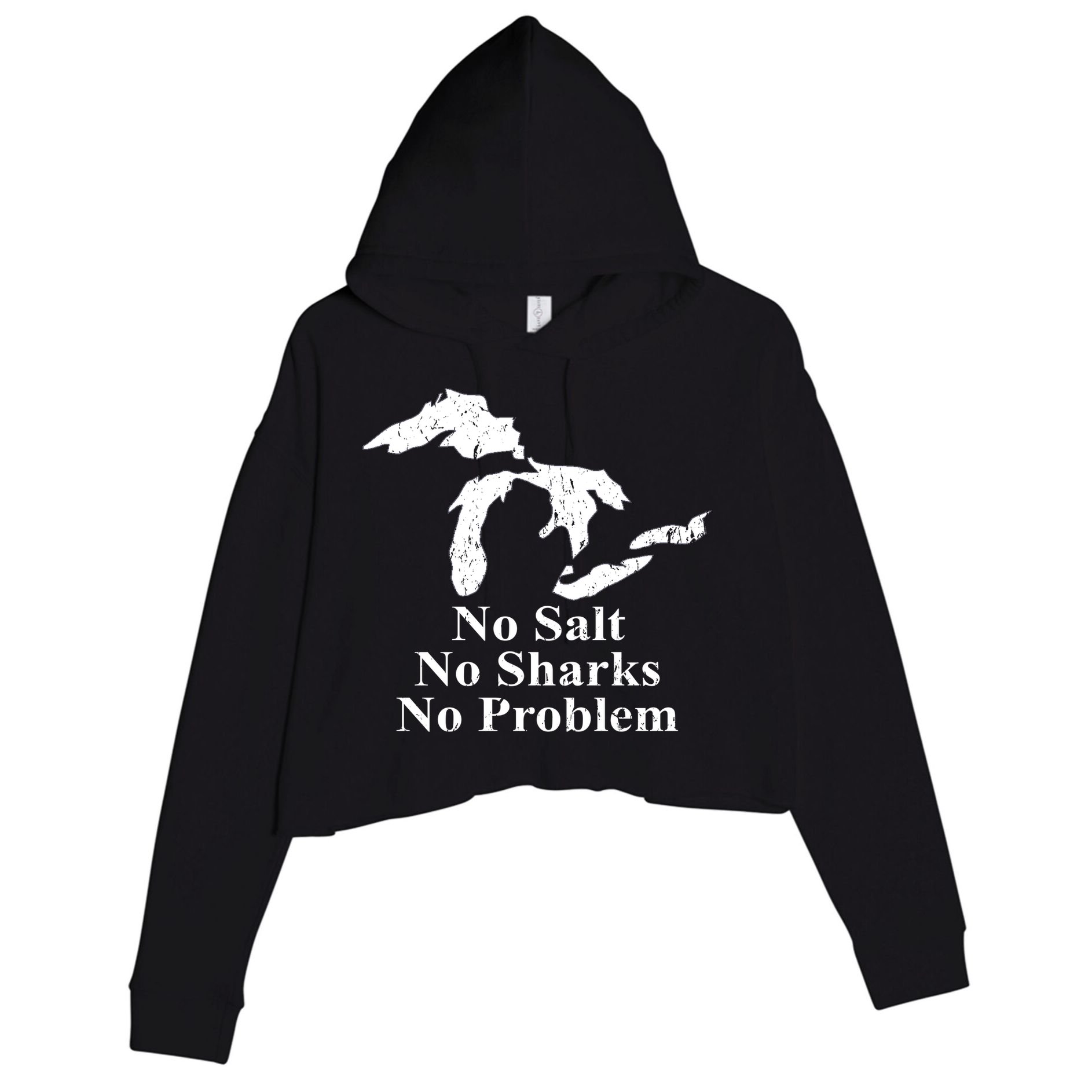Michigan Great Lakes No Salt, No Sharks, No Problem Hoodie Crop Fleece Hoodie