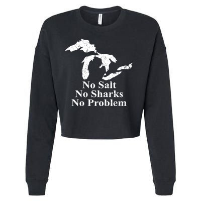 Michigan Great Lakes No Salt, No Sharks, No Problem Hoodie Cropped Pullover Crew
