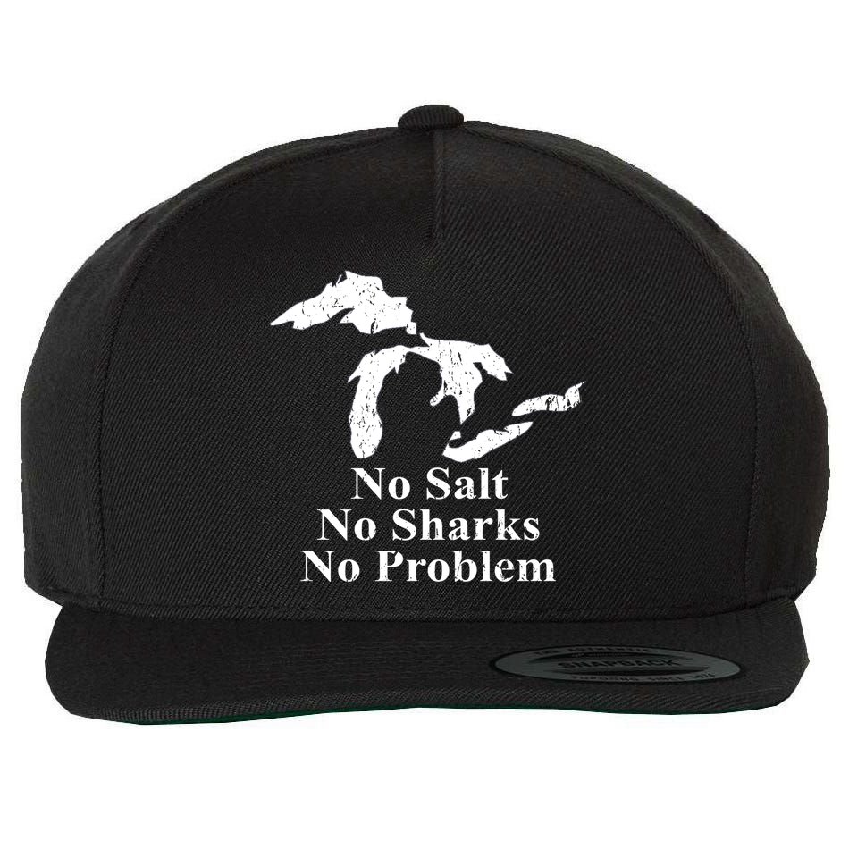 Michigan Great Lakes No Salt, No Sharks, No Problem Hoodie Wool Snapback Cap