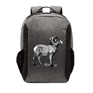 Mountain Goat Mountain Sheep Vector Backpack