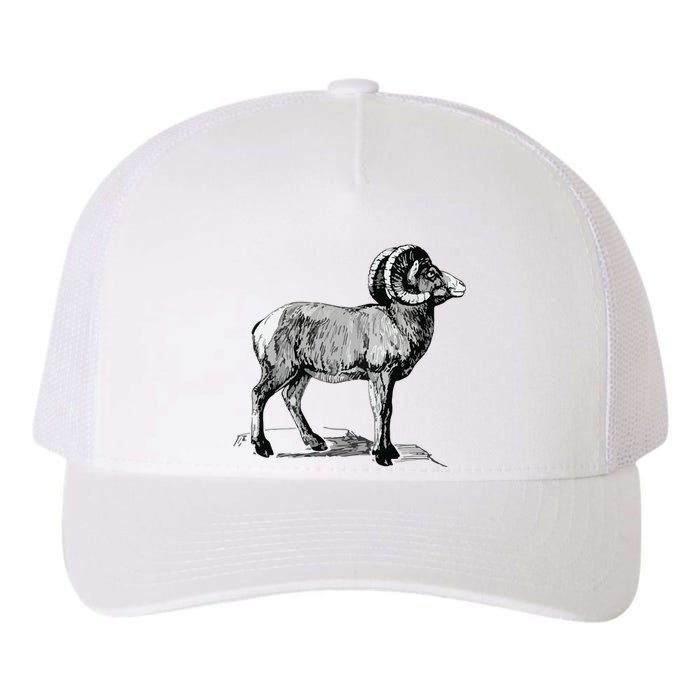 Mountain Goat Mountain Sheep Yupoong Adult 5-Panel Trucker Hat