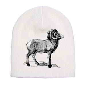 Mountain Goat Mountain Sheep Short Acrylic Beanie