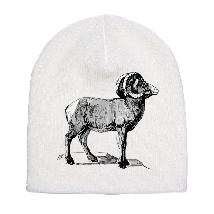 Mountain Goat Mountain Sheep Short Acrylic Beanie