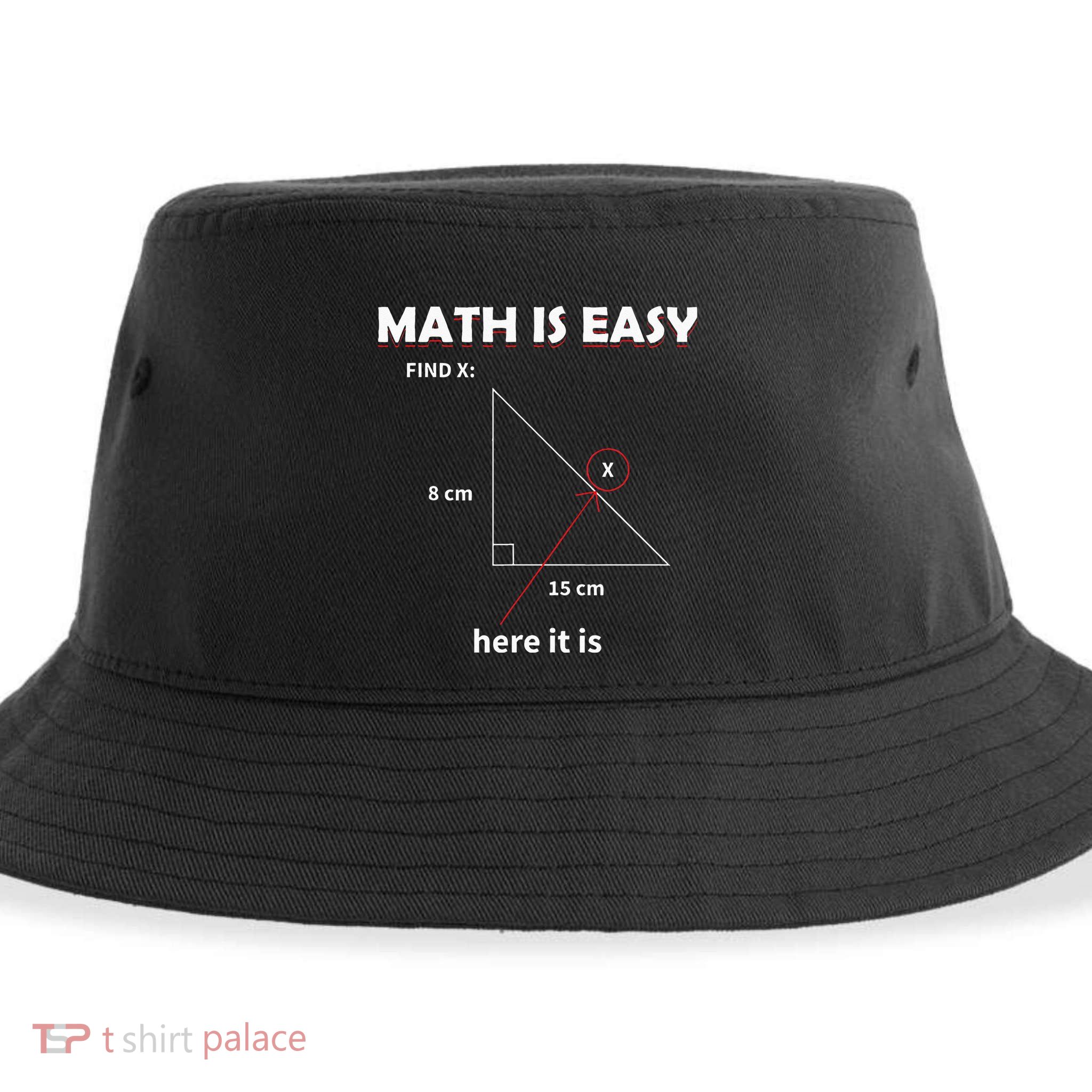 Math Geometry Mathematicians Sustainable Bucket Hat
