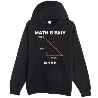 Math Geometry Mathematicians Premium Pullover Hoodie