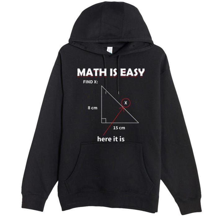 Math Geometry Mathematicians Premium Pullover Hoodie