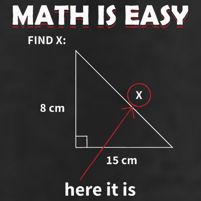 Math Geometry Mathematicians Premium Pullover Hoodie
