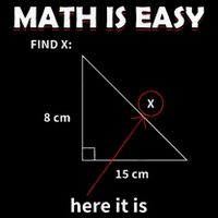 Math Geometry Mathematicians Tall Sweatshirt