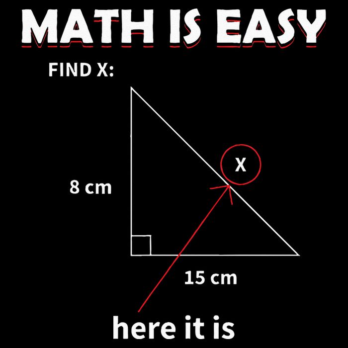 Math Geometry Mathematicians Womens Tank Top