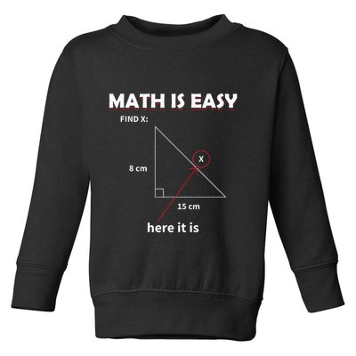 Math Geometry Mathematicians Toddler Sweatshirt