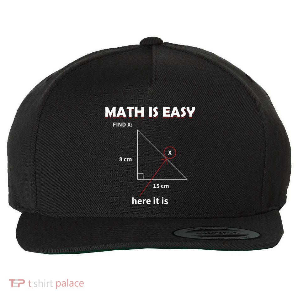 Math Geometry Mathematicians Wool Snapback Cap