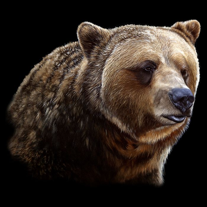 Majestic Grizzly Impact Tech Backpack