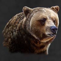 Majestic Grizzly Adult Drive Performance Visor