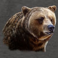 Majestic Grizzly Vector Backpack