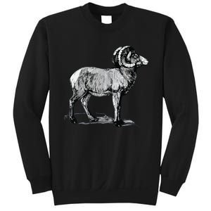 Mountain Goat Mountain Sheep Sweatshirt