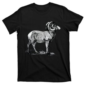 Mountain Goat Mountain Sheep T-Shirt