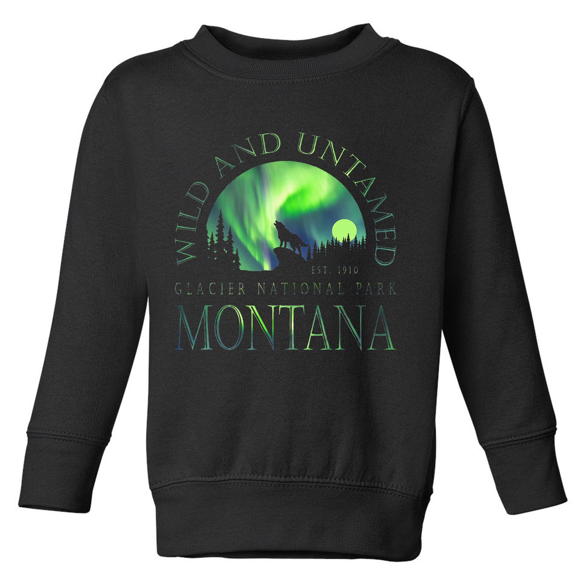 Montana Glacier National Park Northern Lights Toddler Sweatshirt