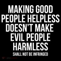 Making Good People Helpless Doesnt Make Evil People Harmless 16 in Basic Backpack