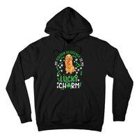 My Golden Retriever Is My Lucky Dog St Patrick's Day Hoodie